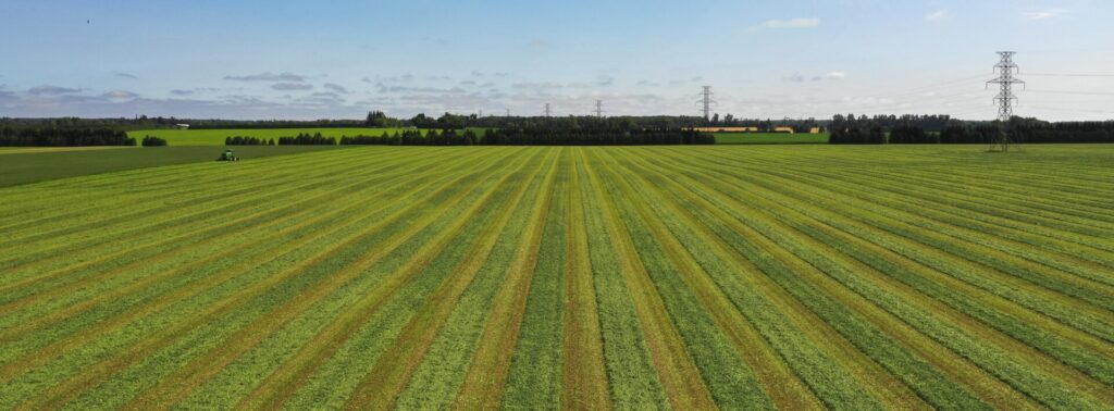 Aerial view of a vast, striped green field with a tractor, under blue skies with some clouds; power lines are visible in the background.