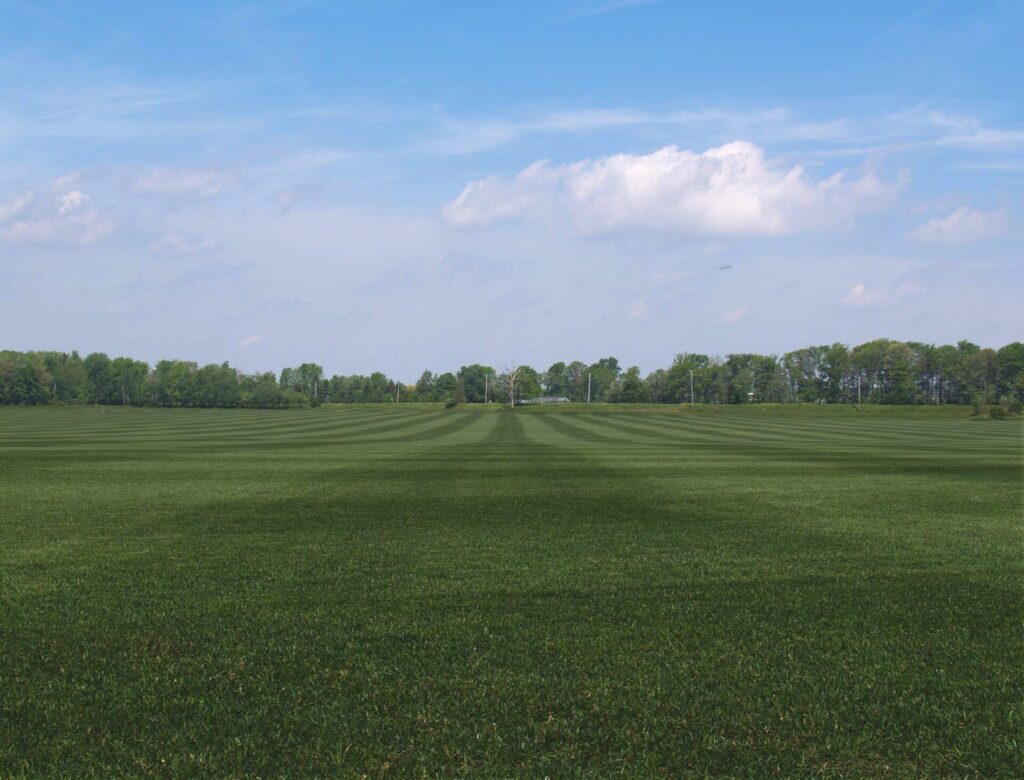 A vast, neatly mowed green field stretches into the distance, bordered by a line of trees under a clear blue sky with some clouds.