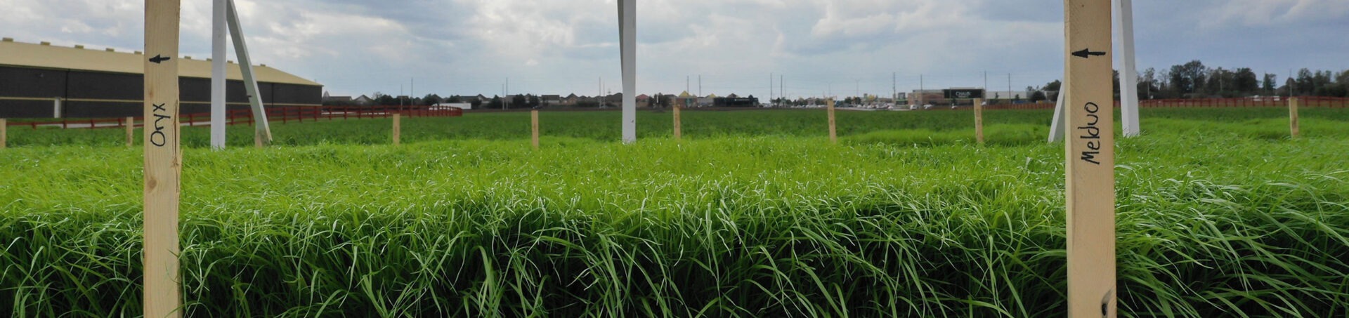 A grassy field with wooden stakes labeled "Onyx" and "Metro," and an industrial building in the background under a cloudy sky.