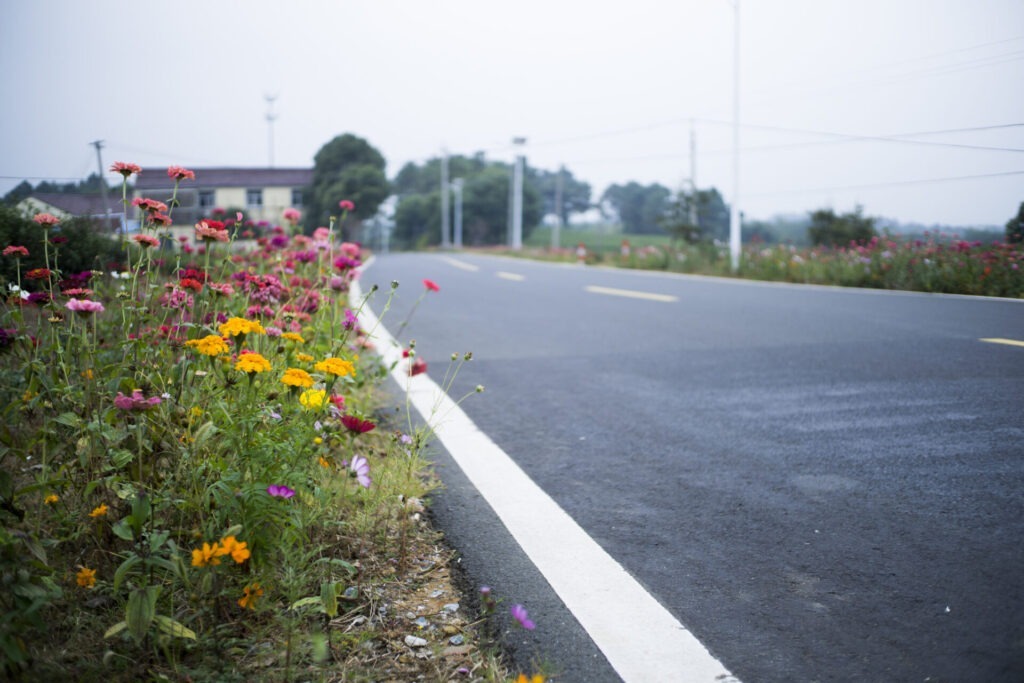 A country road with vibrant wildflowers on the roadside, houses in the background, and a clear sky above. Trees line the horizon.