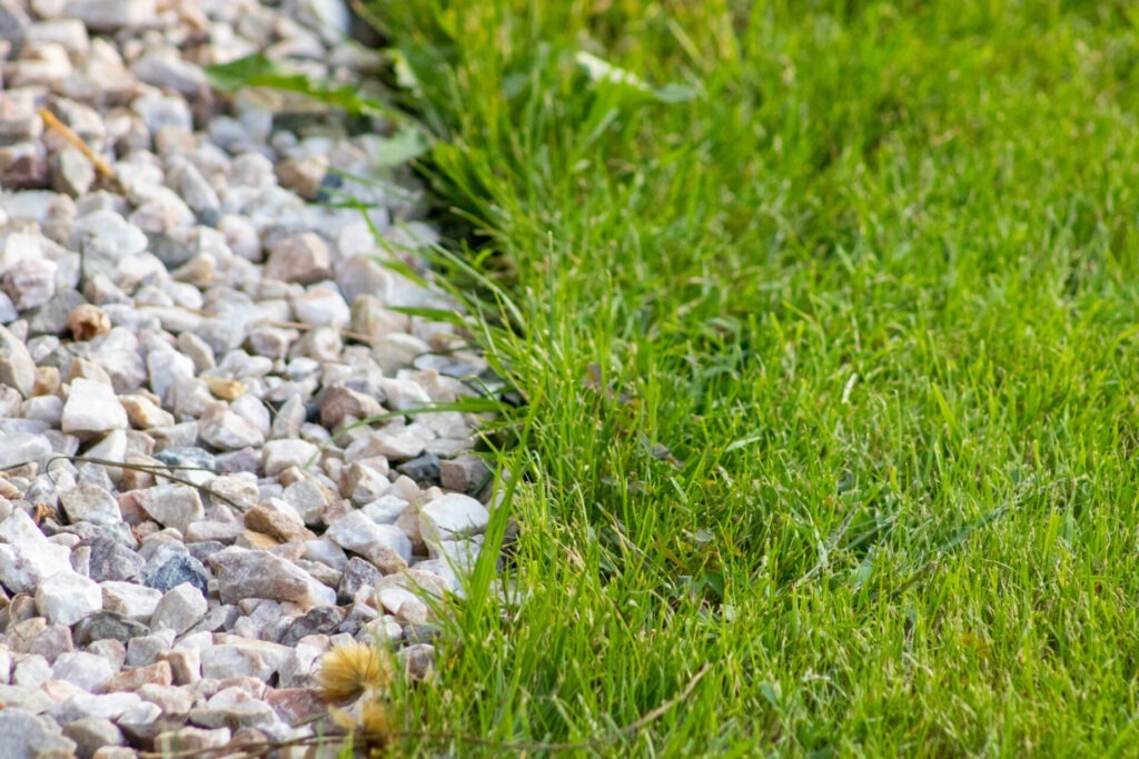 A well-maintained garden with a clear divide between a gravel path and lush green grass, displaying a neat and organized outdoor space.