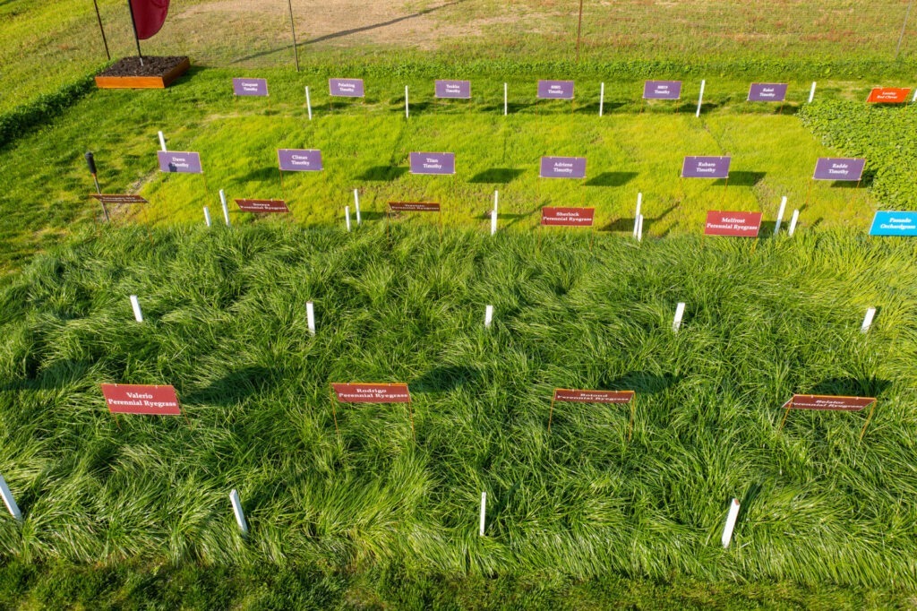 A small field with labeled sections showcasing various types of grasses and plants, organized in rows for agricultural or research purposes.