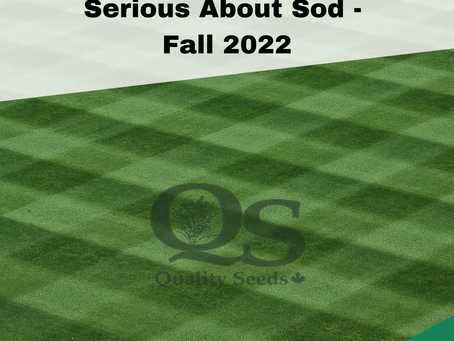 A field of well-manicured grass with a checkered pattern, text reading "Serious About Sod - Fall 2022" and the logo "Quality Seeds."