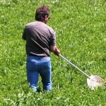 A person standing in a grassy field holding a net, seemingly searching for insects or small animals in a nature setting.