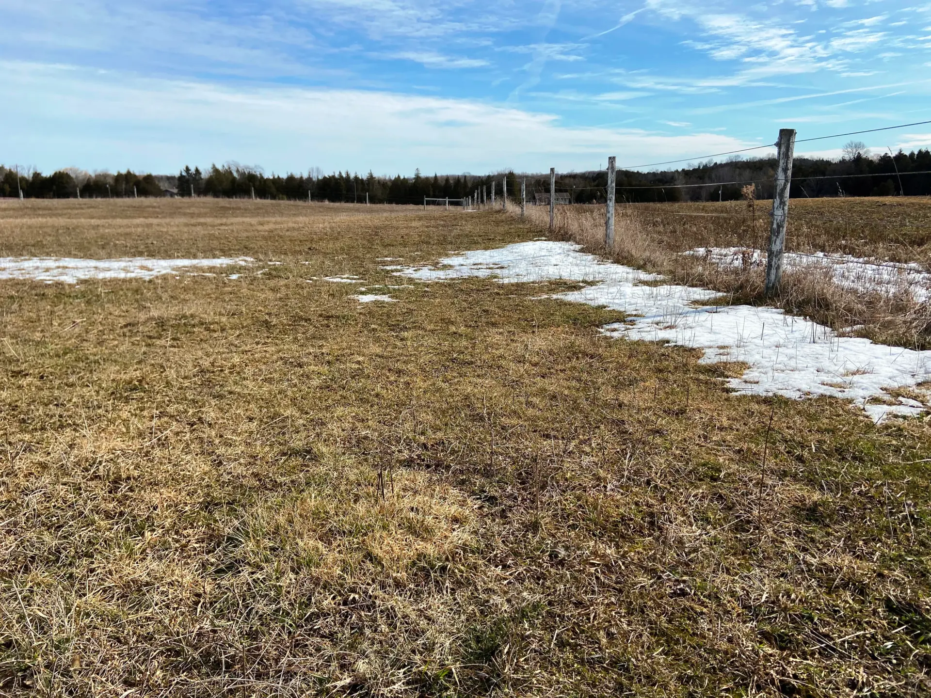 An open grassy field with patches of melting snow, bordered by a wooden fence under a clear, blue sky with scattered clouds, surrounded by trees.