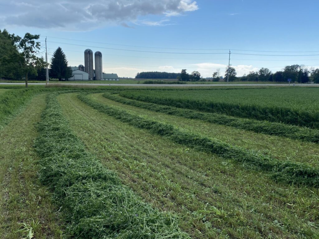 A farmland scene with freshly cut rows of grass, two silos, and a barn in the distance, under a partly cloudy sky.