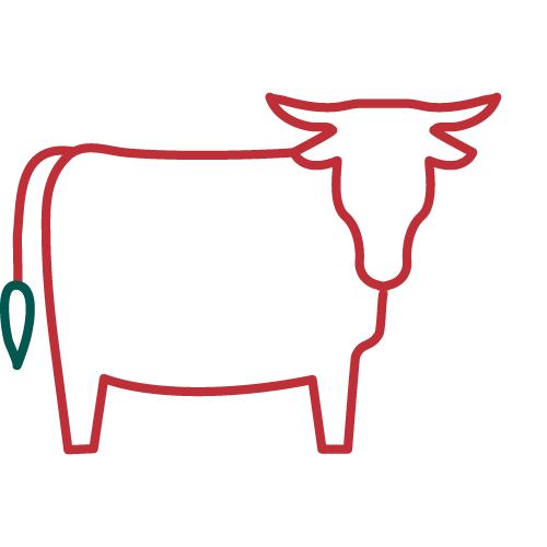 The image depicts a minimalist, red-outline drawing of a bull with a green tail on a transparent background, lacking any landmarks or historical buildings.