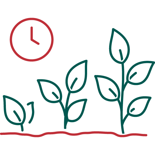 Three growing plants in a row with a red clock icon above, symbolizing the passage of time and growth. Simple, stylized illustration.