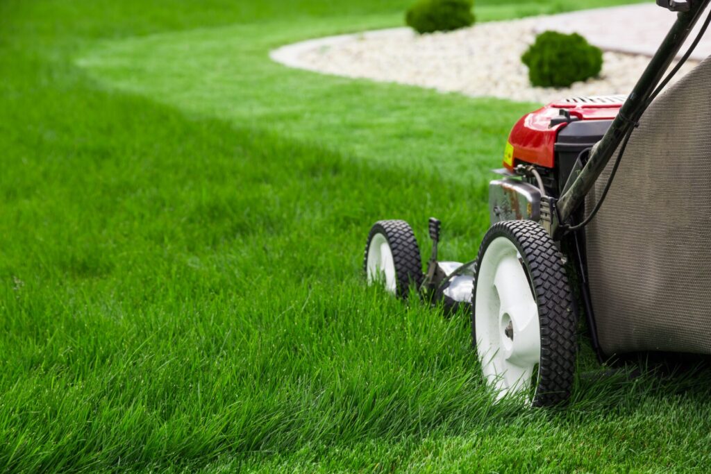 A red lawnmower is being used to trim lush green grass on a neatly manicured lawn with a rock-edged garden bed nearby.