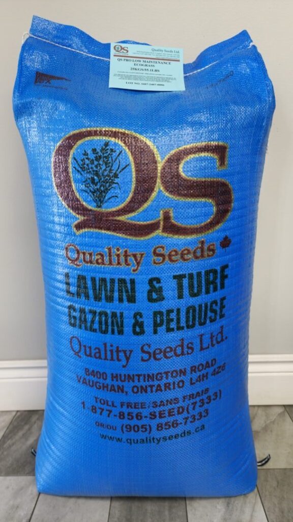 A blue bag labeled "Quality Seeds: Lawn & Turf" is placed against a wall. It displays company contact information and a logo.