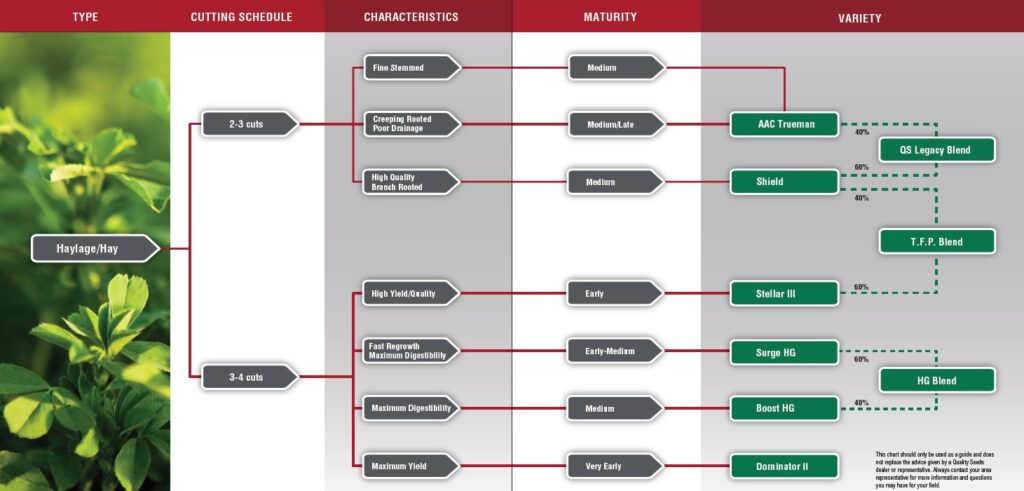 A detailed chart outlining hay and haylage types, cutting schedules, characteristics, maturity stages, and variety options, with a close-up image of hay plants.