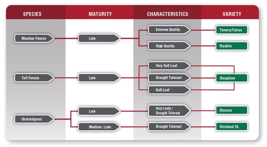 A chart displaying various grass species categorized by maturity, characteristics, and corresponding varieties, including Meadow Fescue, Tall Fescue, and Orchardgrass.
